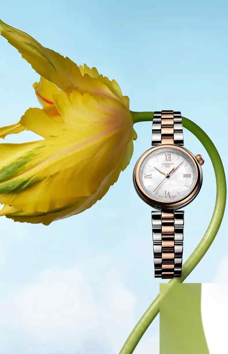 520送什么？天梭三款女神腕表推荐，第一款太惊艳了！ | 奈斯探表