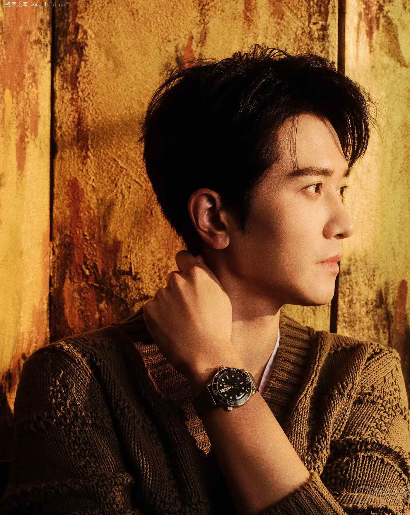 彭冠英同款！欧米茄007海马潜水表，钛金属+青铜金太高级了 | 奈斯探表