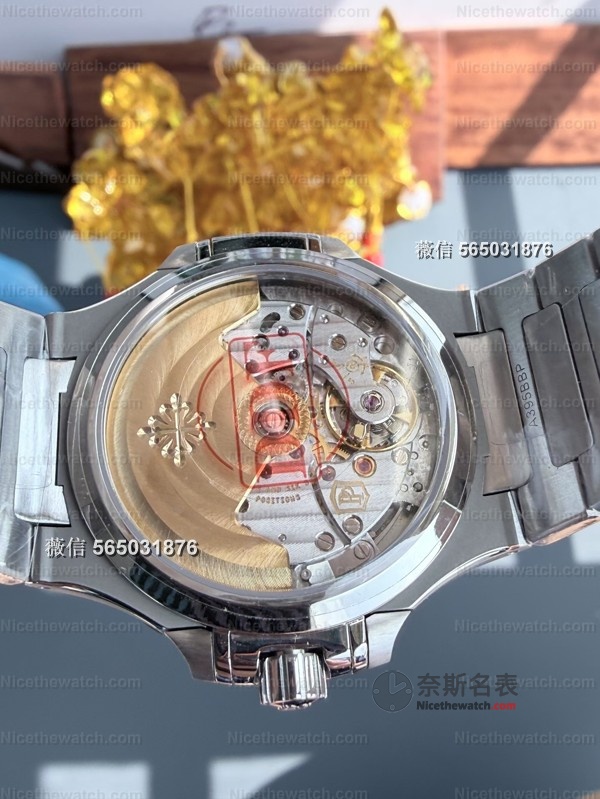 我戴了两周DDF鹦鹉螺7118女表，这几点真的让我忍不住想分享！ | 奈斯探表